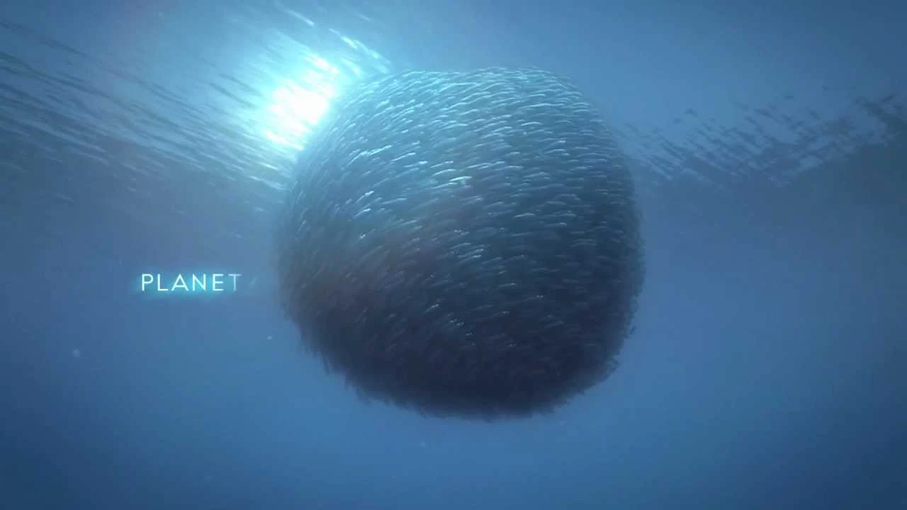 歐米茄Planet Ocean電視廣告